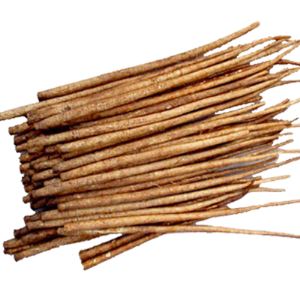 ผง burdock