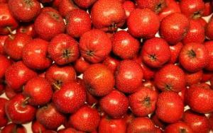 ผงผลไม้ Hawthorn อินทรีย์ hawthorn berry, hawthorn สมุนไพร ผลไม้ hawthorn ผงฮอว์ทอร์น