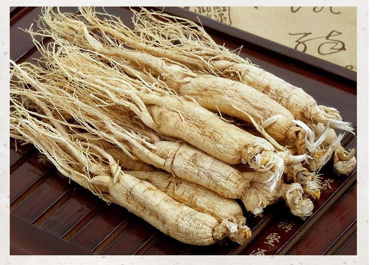 ginseng