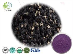 ผง Wolfberry สีดำ, Goji Berry, Goji Berry Benefits, เบอร์รี่โกจิแห้ง, น้ำผลไม้ Wolfberry, ผลดิบโกจิเบอร์รี่